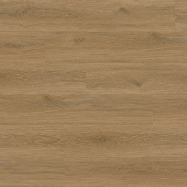 Excellence Macadamia
